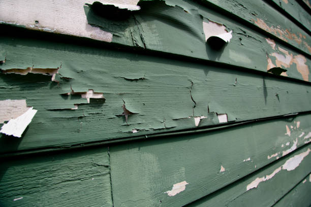 Best Retail Junk Removal  in Larchmont, NY